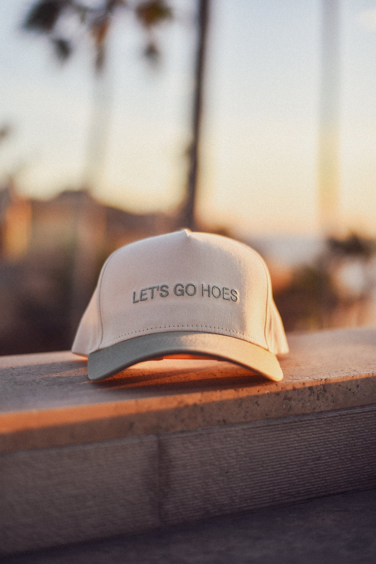 Let's go hoes Hat