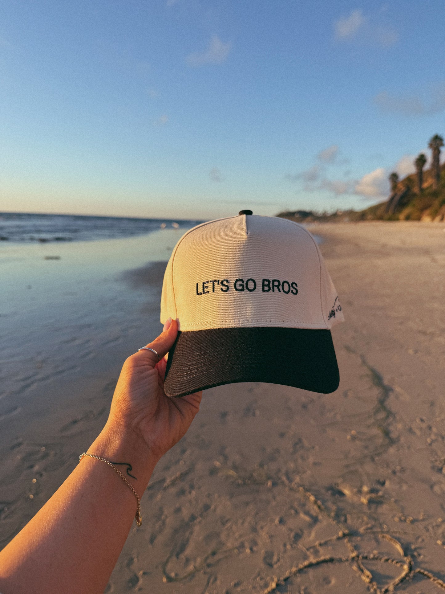 Let's Go Bros Hat